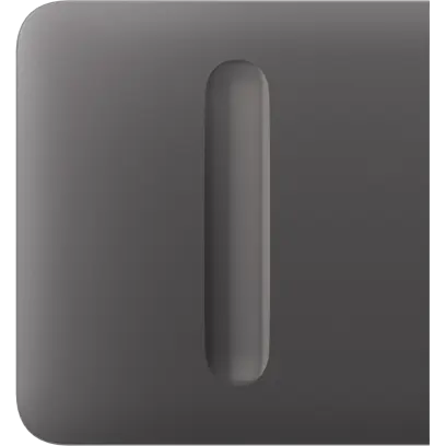 Ajax SideButton (Dimmer) - Boční kryt stmívatelného tlačítka, šedá