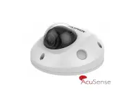 DS-2CD2543G2-IWS(2.8)